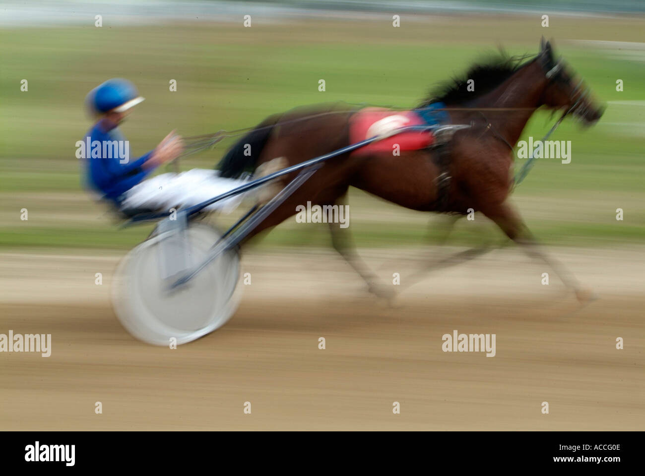 Harness trotter horse racing event held at Croswell Michigan Stock Photo Alamy