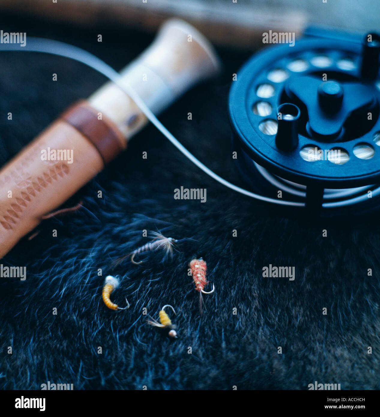 Details of fishing equipment close-up. Stock Photo