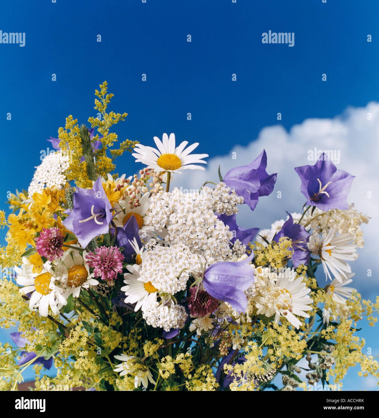 Flowers in a bouquet hi-res stock photography and images - Alamy