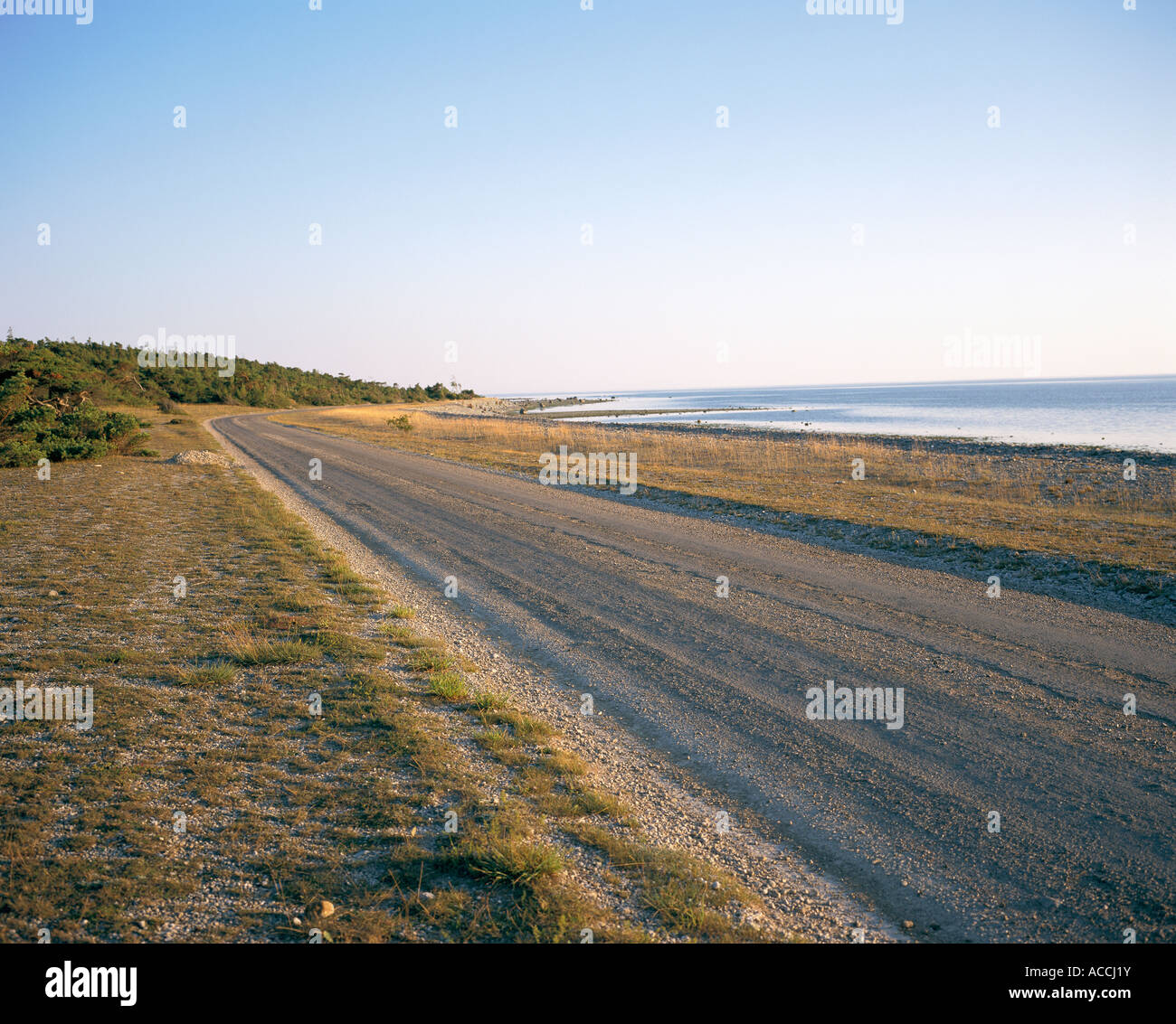 Image showcasing A road along a coastline in Gotland Sweden Stock Photo - Alamy