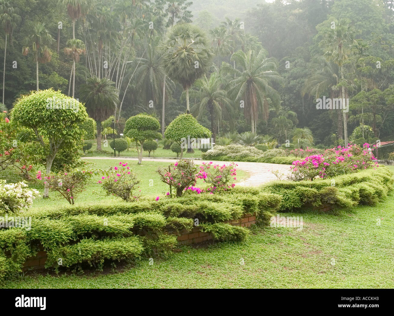 VIEW OF BOTANICAL GARDENS, PENANG HILL, , PENANG, MALAYSIA Stock Photo 7494226 Alamy
