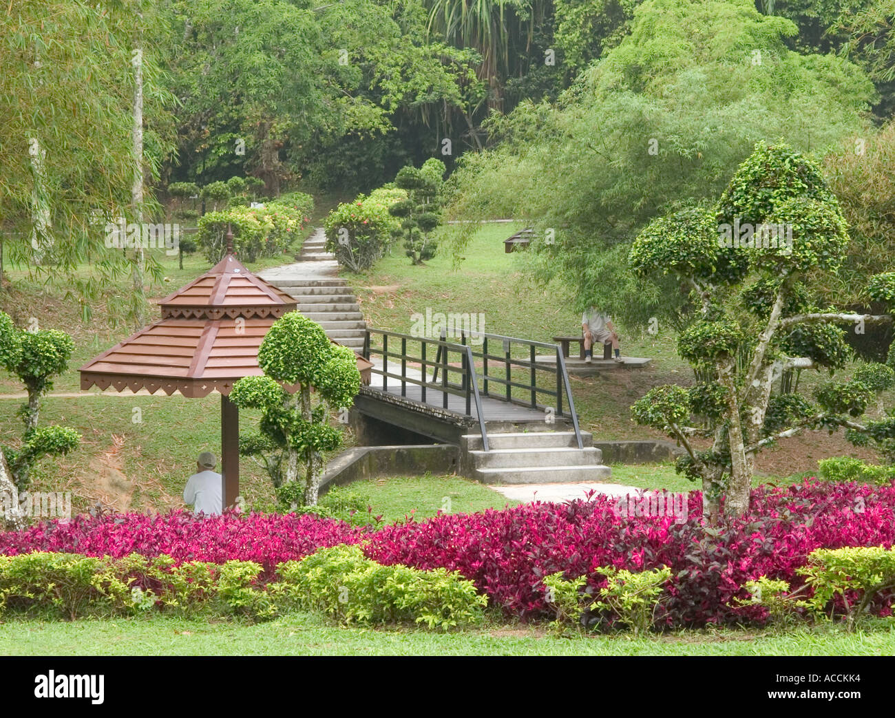 View Of Botanical Gardens Penang Hill Penang Malaysia Stock