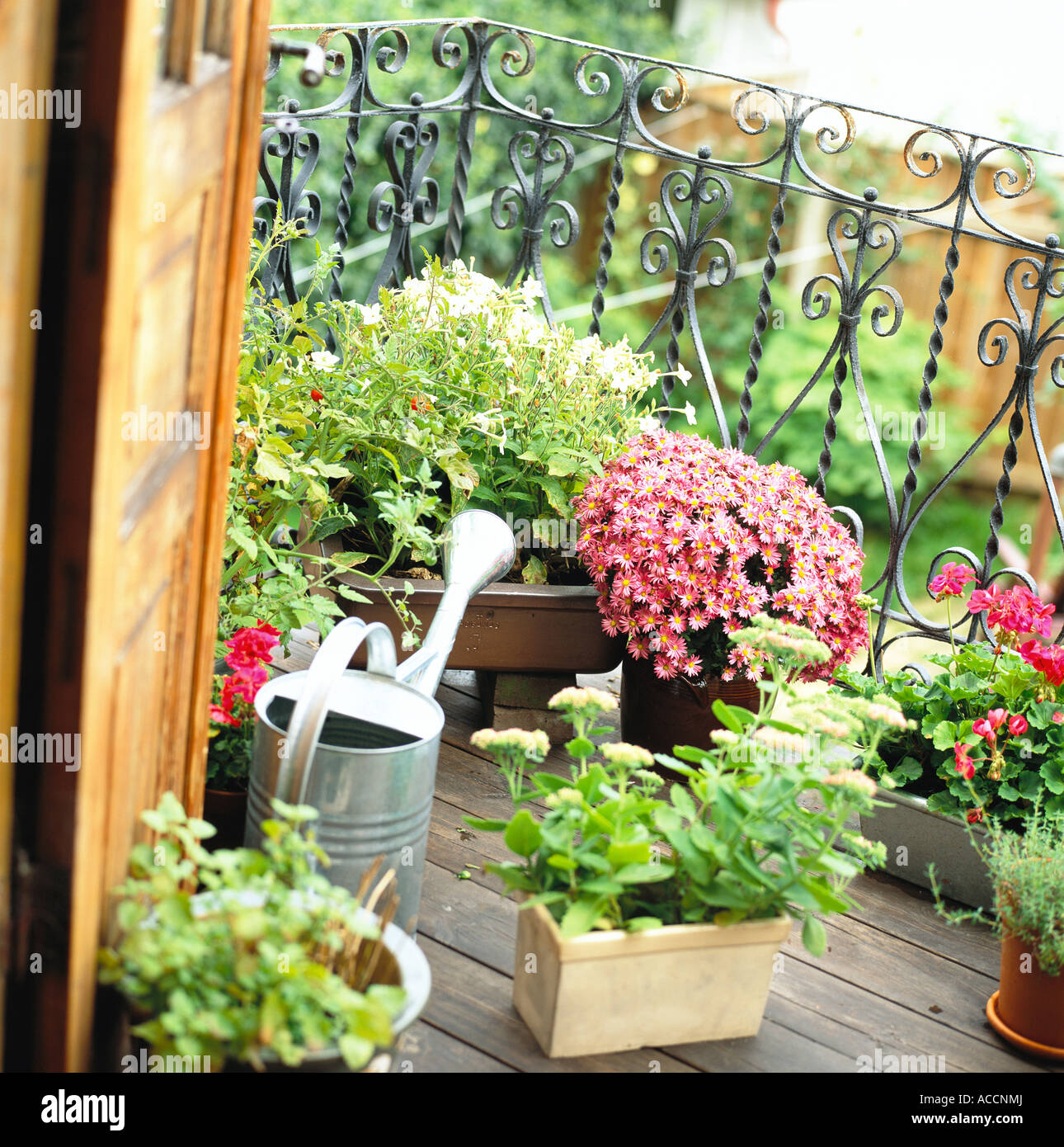 Potted plants on a balcony Stock Photo Alamy