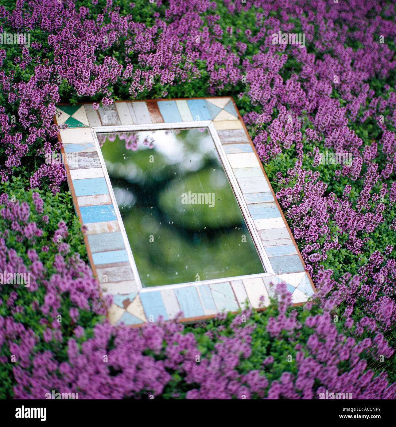A mirror outdoors Stock Photo - Alamy