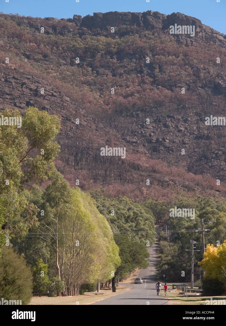WALKERS ON THE SILVER SPRINGS ROAD, HALLS GAP, THE GRAMPIANS NATIONAL