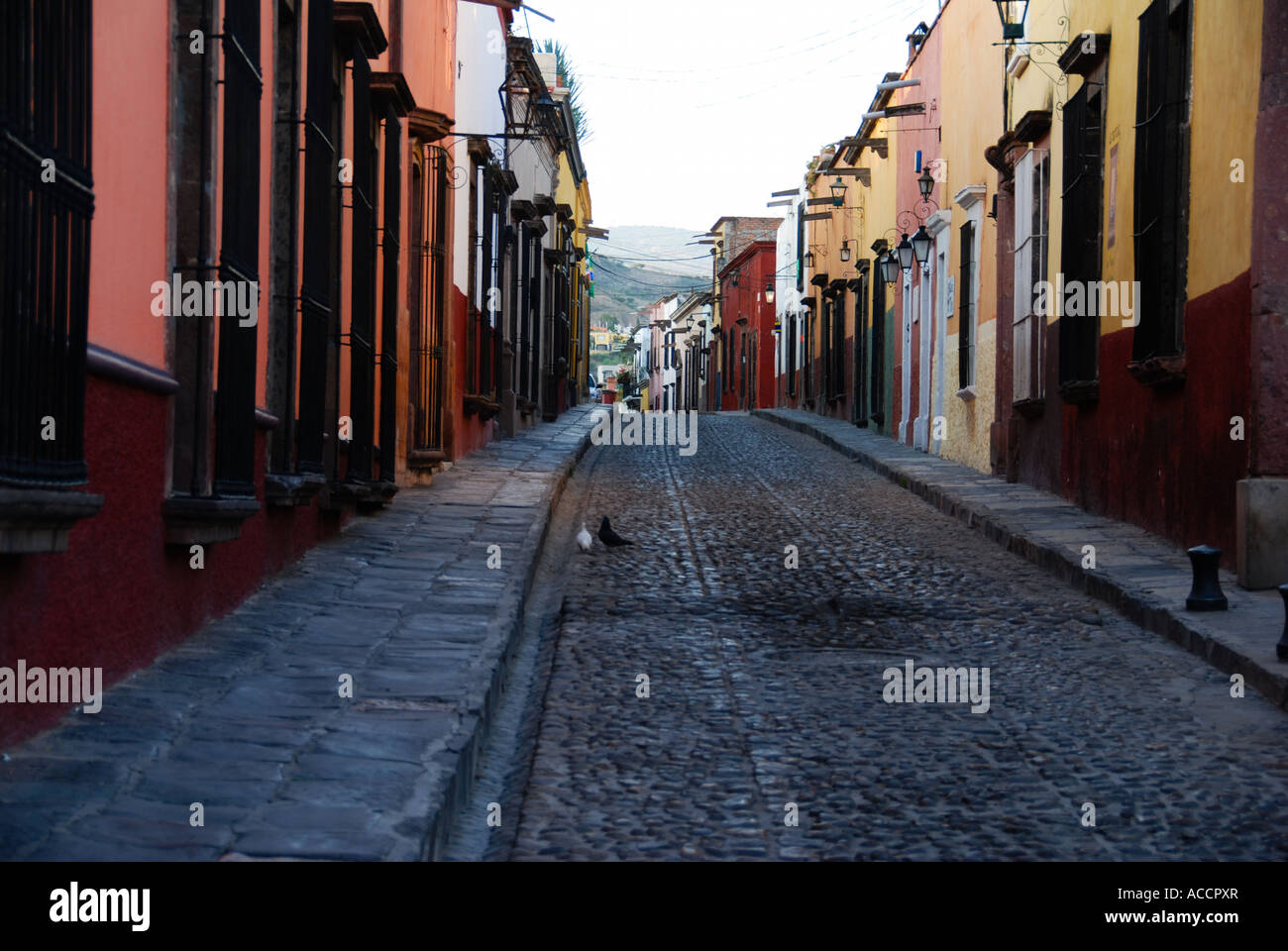 Cobblestone streets of San Miguel de Allende Spanish colonial town in Mexico Stock Photo
