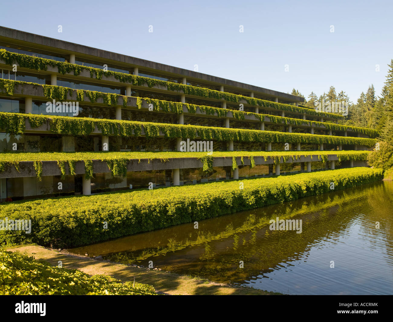 Weyerhaeuser Headquarters, near Washington, USA Stock Photo Alamy