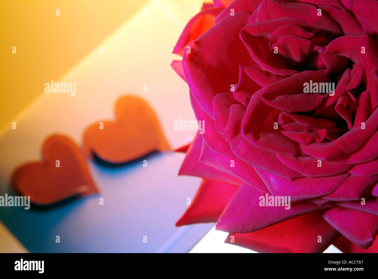 Pr red rose love message hi-res stock photography and images - Alamy