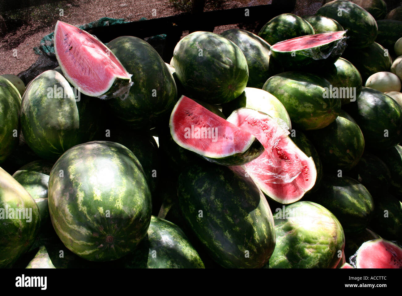 Water melons, green and red, South America Stock Photo Alamy
