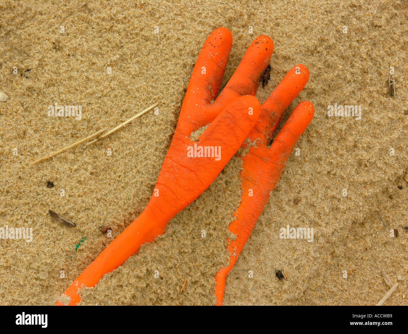 stranded goods red rubber glove in sand Stock Photo