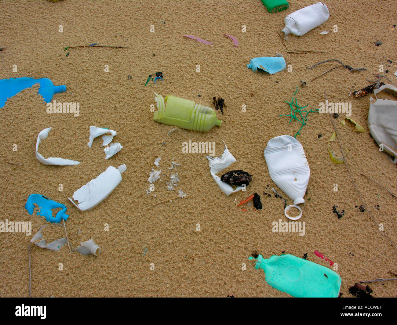 trash rubbish in sand at the beach of Atlantic ocean in France Stock Photo