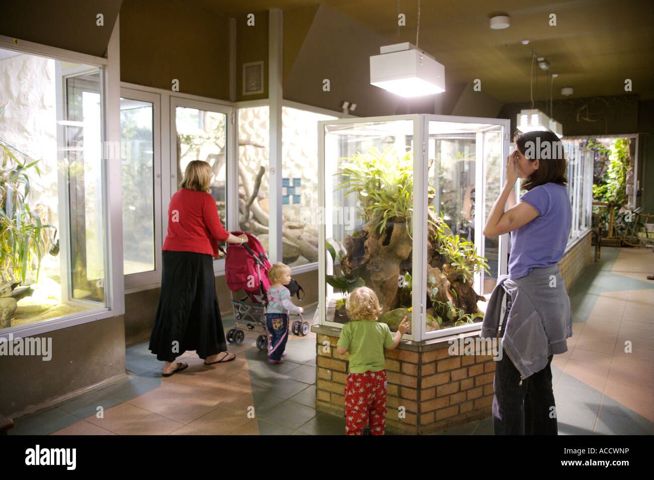 Mothers and children looking at reptiles at Jersey Zoo Stock Photo Alamy