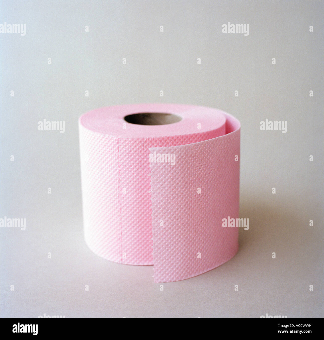 Pink toilet paper on a grey background Stock Photo Alamy