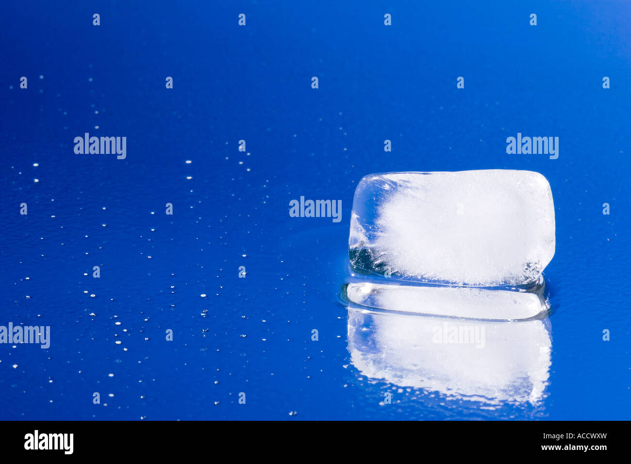 Melting ice cube with water drops on a mirror - blue background Stock ...