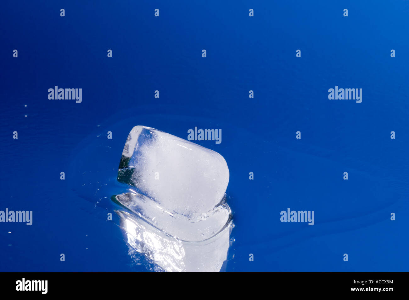 Melting ice cube with water drops on a mirror - blue background Stock ...