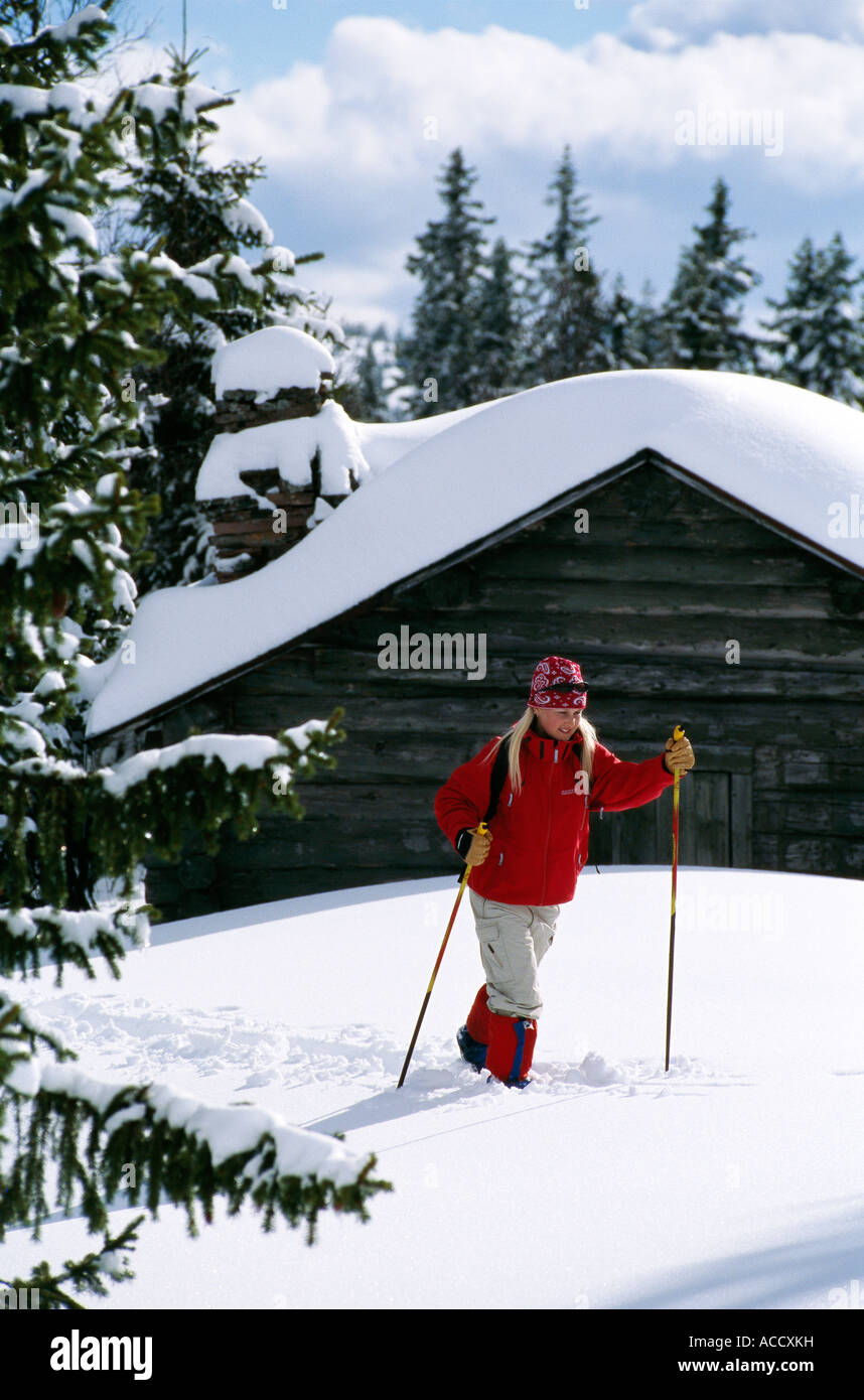 Cross country skiing in Salen Sweden Stock Photo Alamy