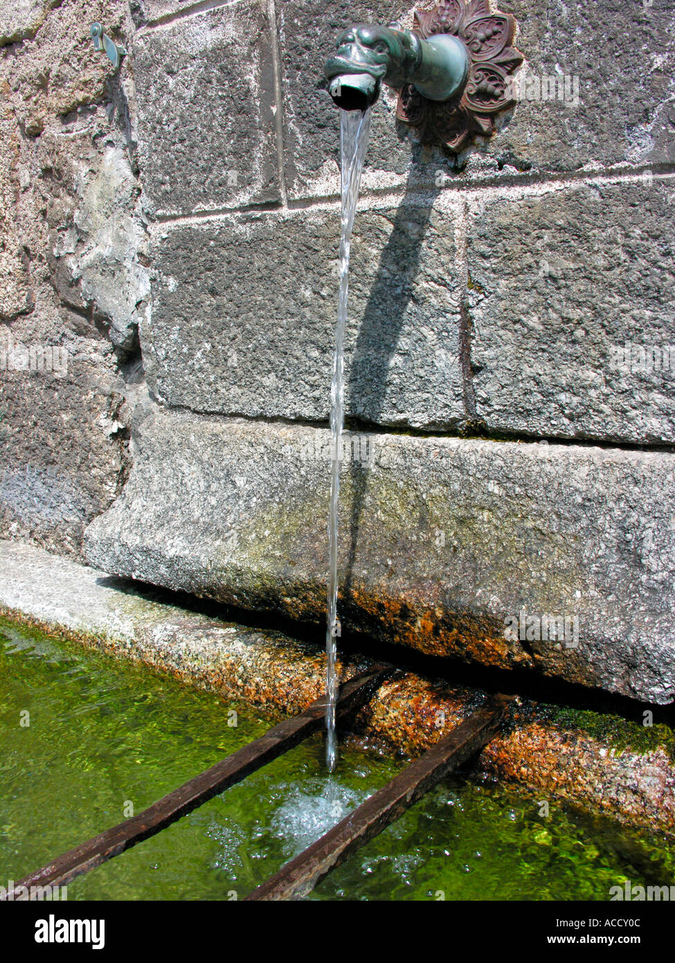 fountain well gargoyle with an old tap Stock Photo Alamy