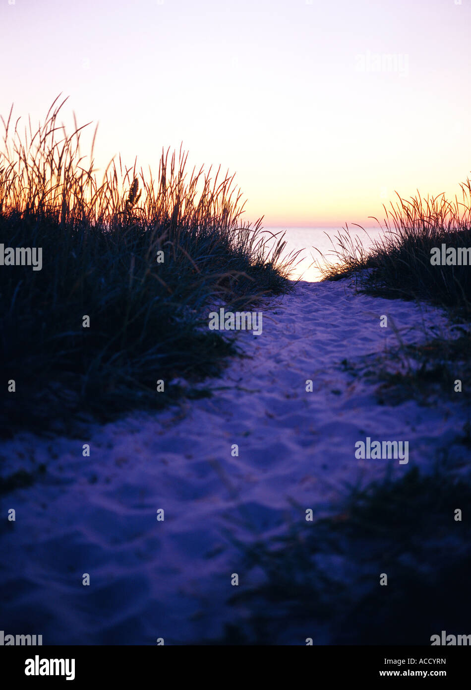 Path to the beach Stock Photo - Alamy