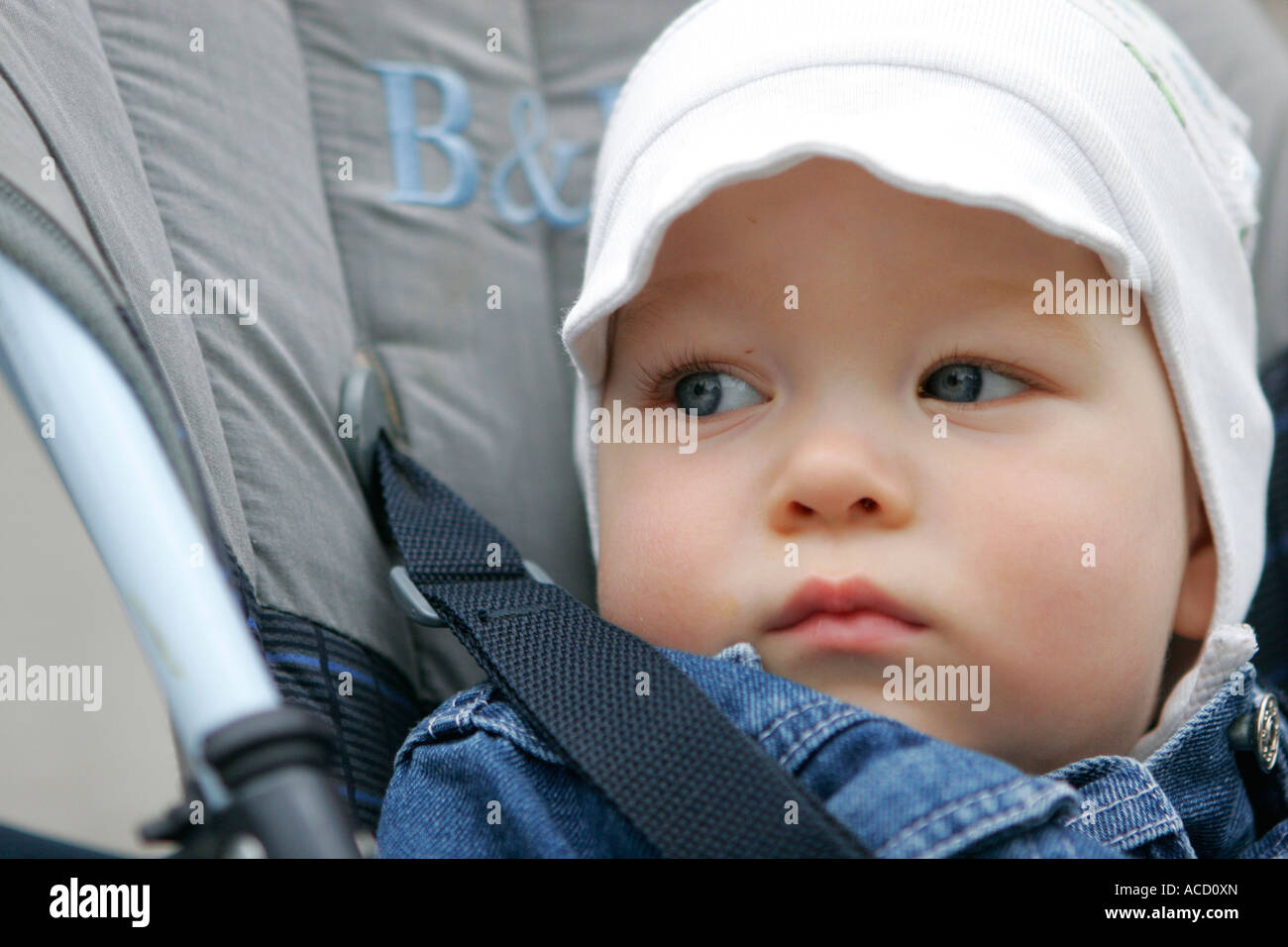 A little boy is sitting in the baby coach Stock Photo Alamy