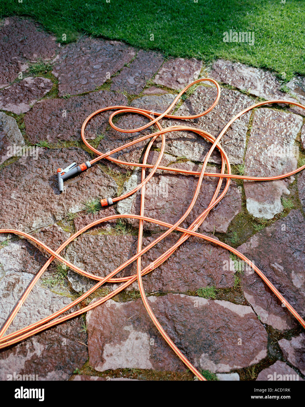Water tubes in the garden Stock Photo Alamy