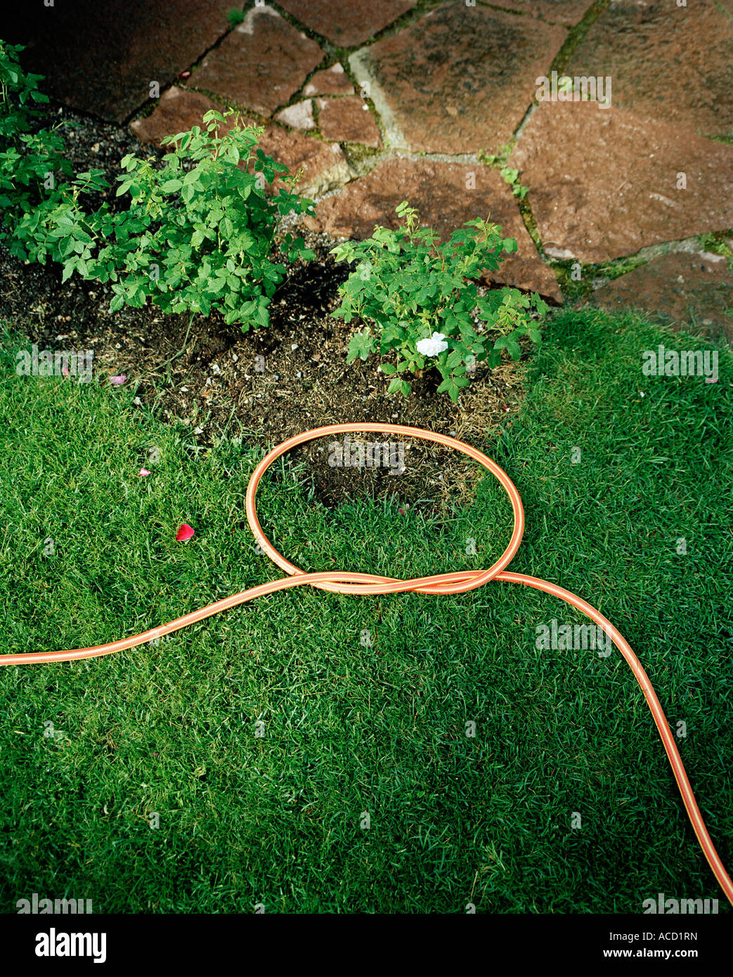 Water tubes in a garden Stock Photo Alamy