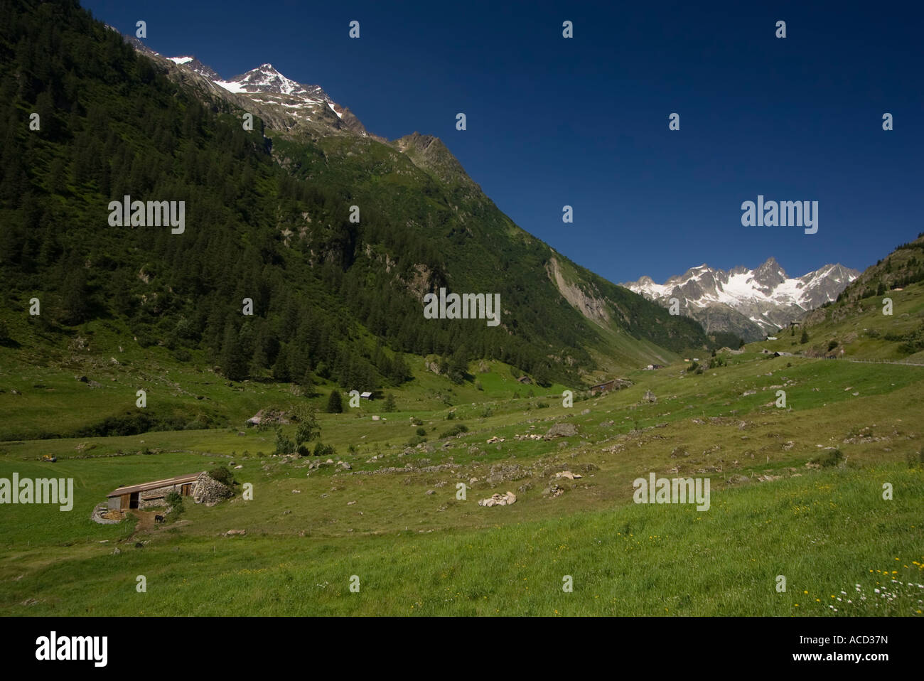 Meiental Valley towards Sustenpass, Uri, central Switzerland Stock Photo