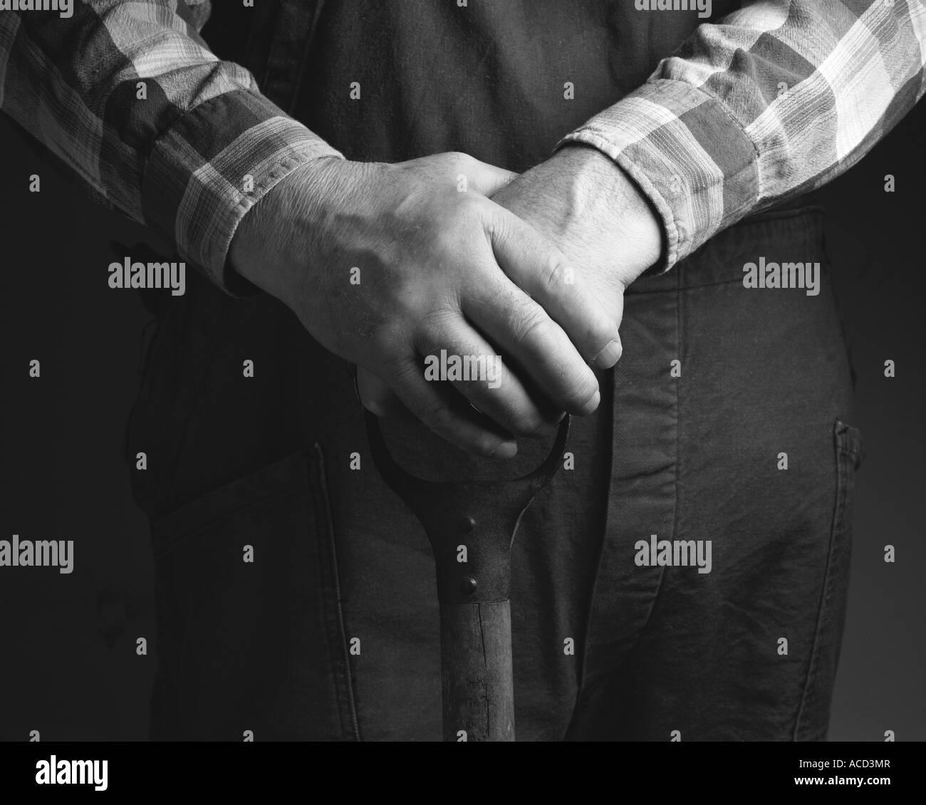 Spade Black and White Stock Photos & Images Alamy
