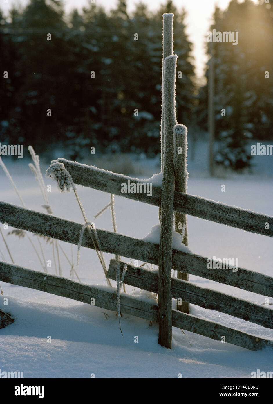 A fence in the snow Stock Photo - Alamy