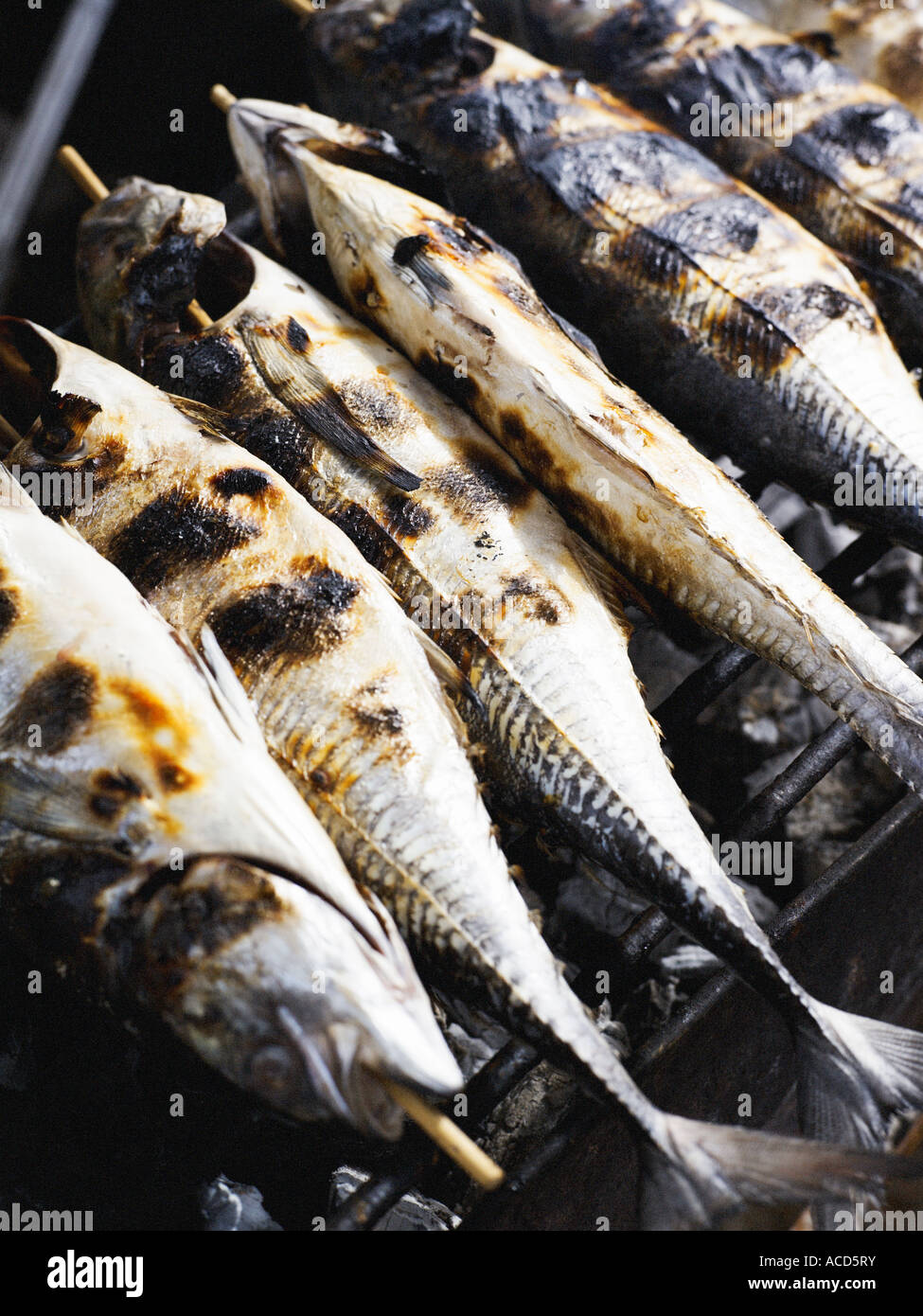 Gourmet grilled fish hi-res stock photography and images - Alamy