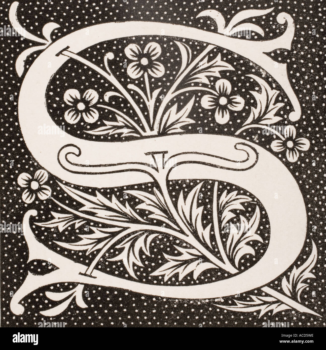 Decorative letters hires stock photography and images Alamy