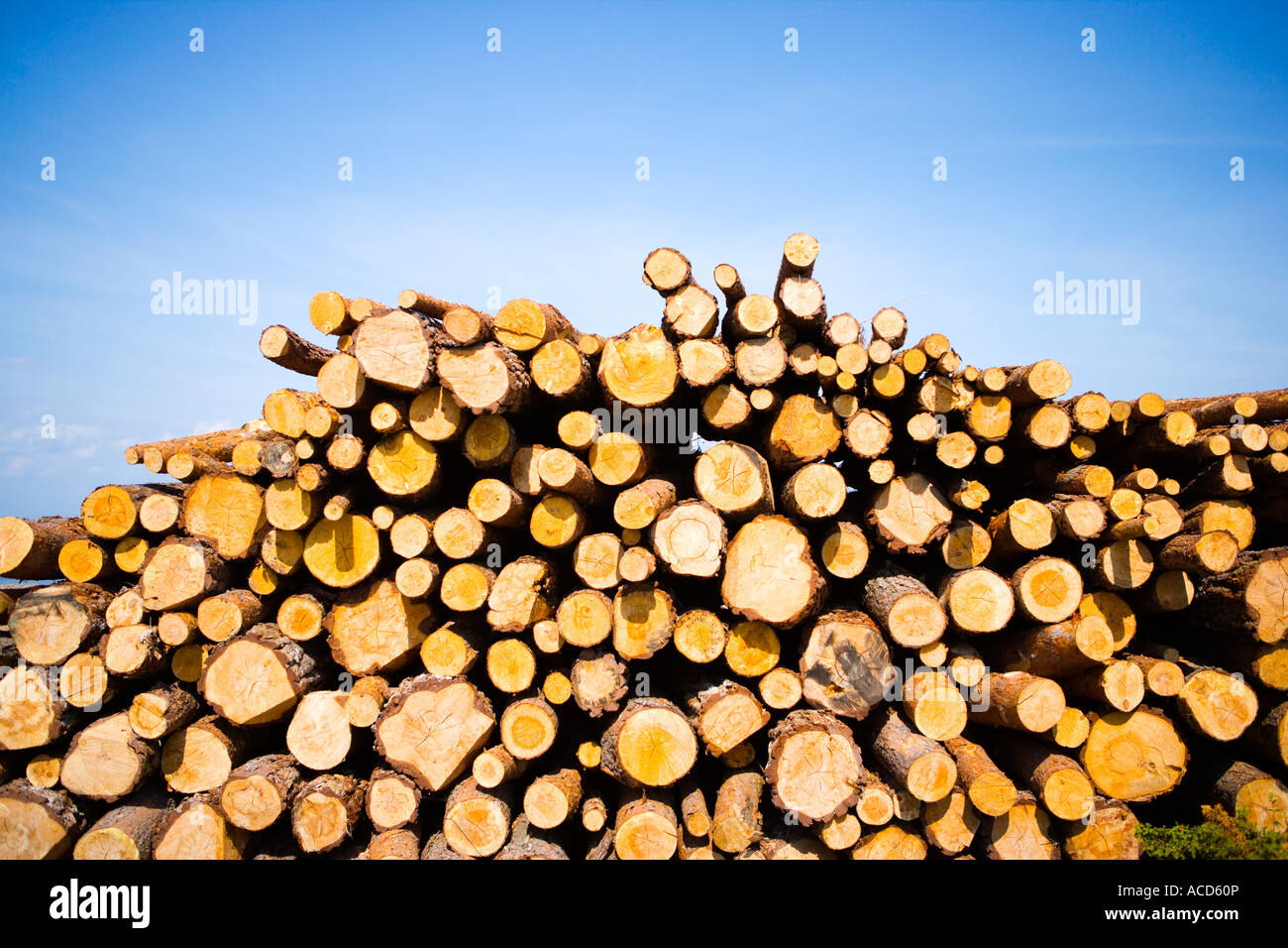 Horizontal timber hi-res stock photography and images - Alamy