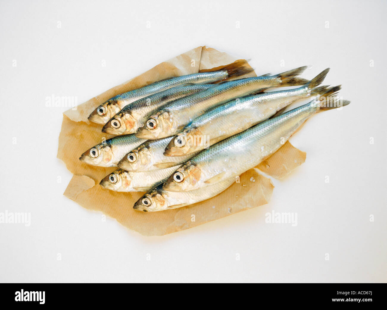 A pile of fish on a piece of paper. Stock Photo