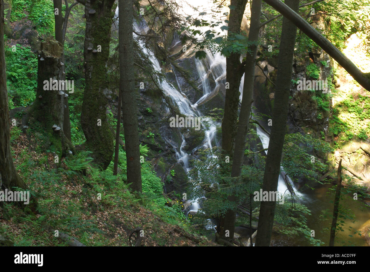 Wasserfall Veliki Sumik im Pohorje Gebirge in Untersteiermark Stajerska Slowenien Slovenia Stock Photo