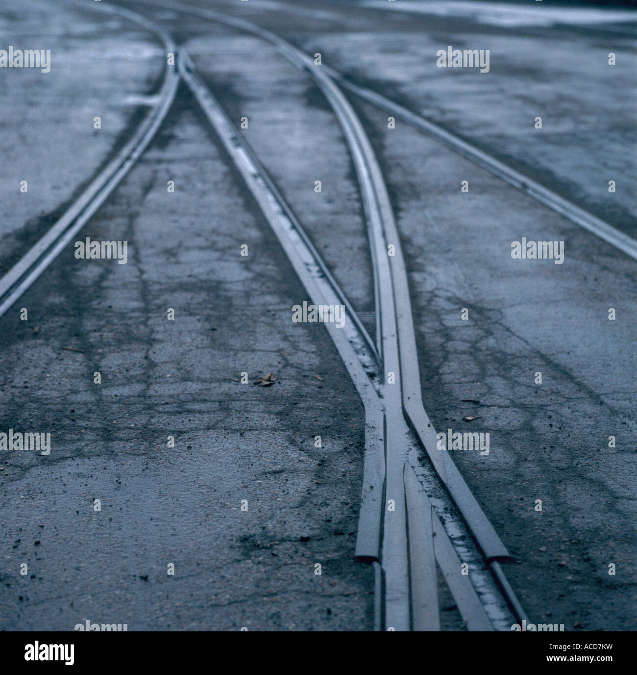 Street Car Rails Wet streetcar rails on a road Stock Photo - Alamy