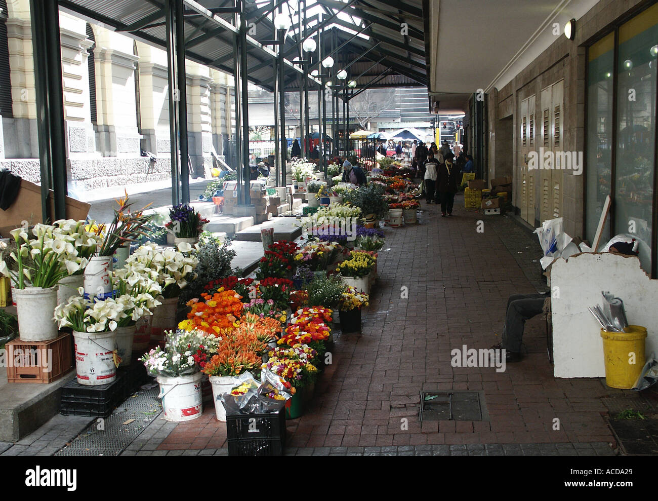 Flower Market Cape Town South Africa Stock Photo Alamy