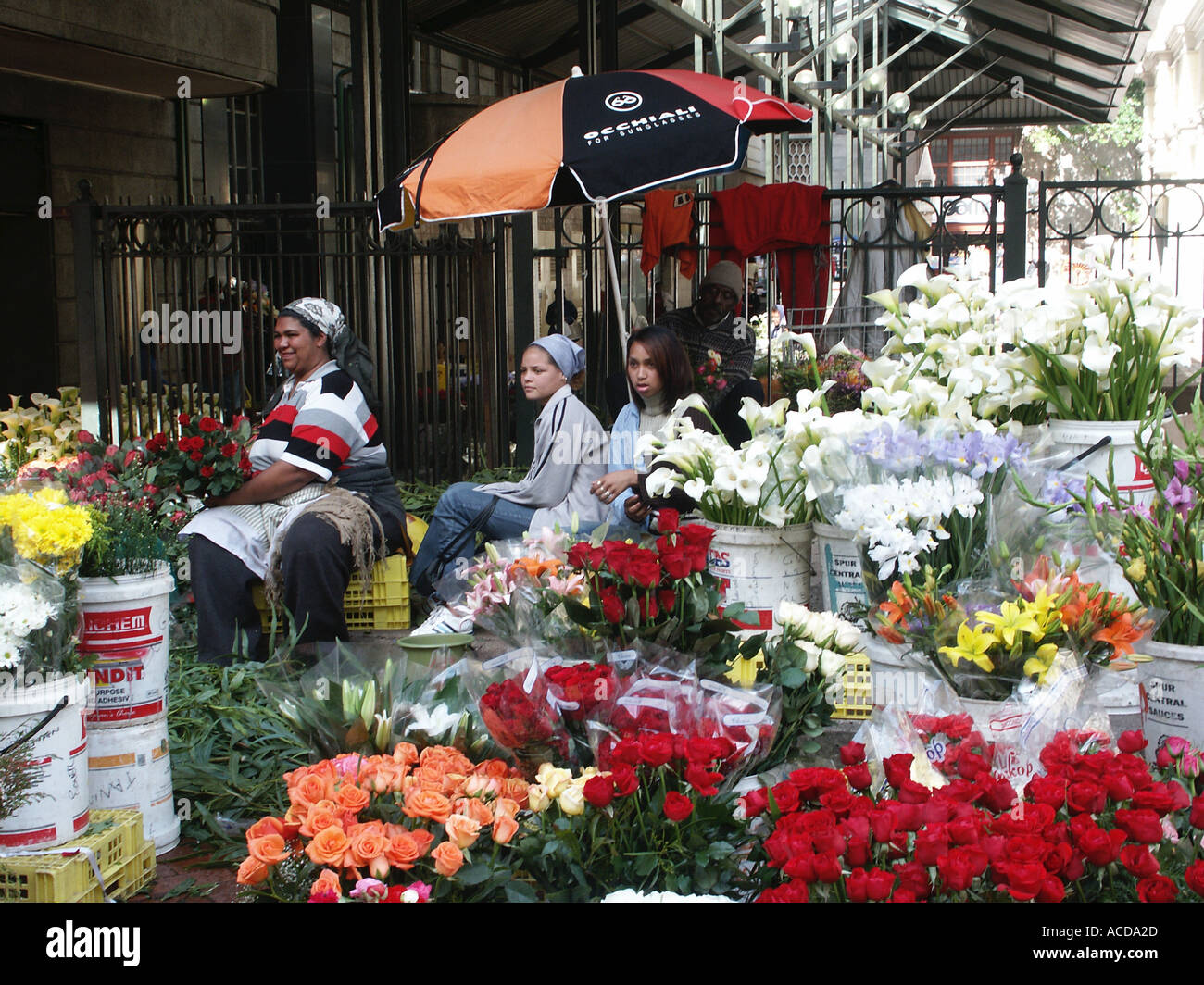 Flower Sellers Adderley Street Cape Town South Africa Stock Photo Alamy