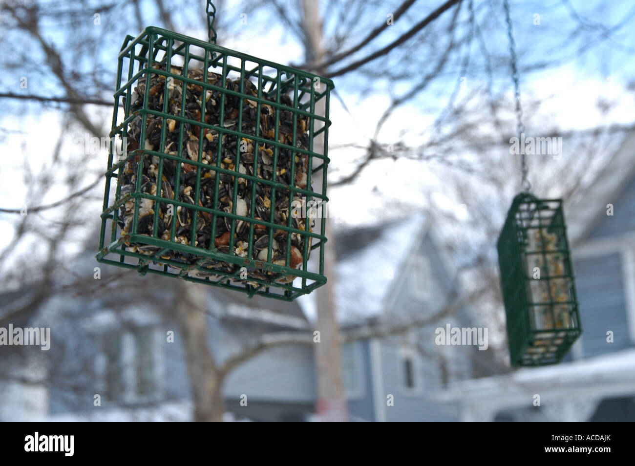 Bird feeders in the snow Stock Photo Alamy