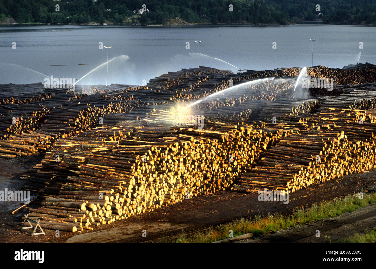 Norway Saw mill Timber Wood wood sawyer lumber lumberjack Norway Stock
