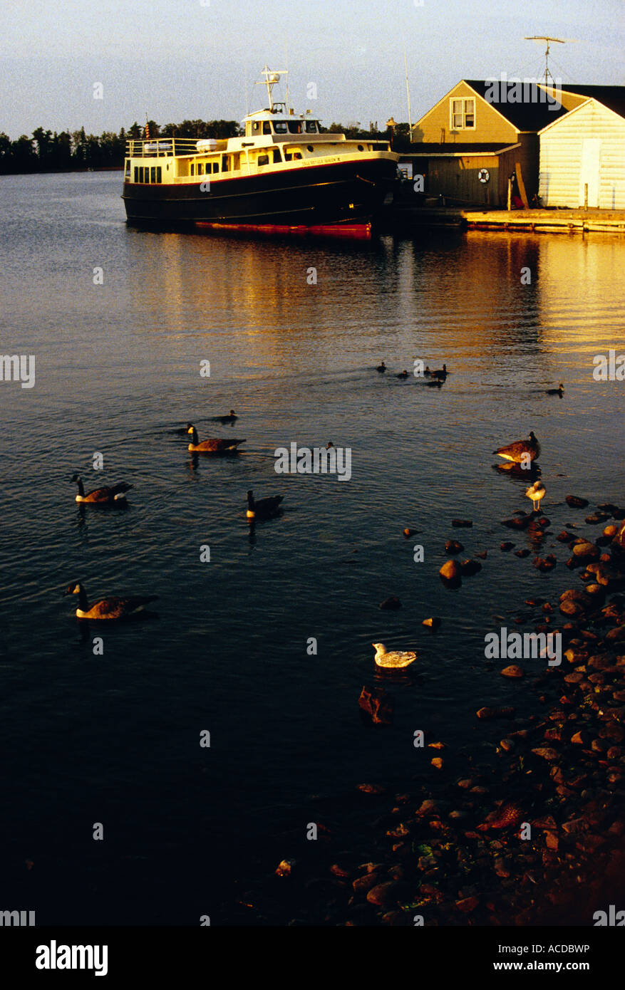 Isle Royale Queen III, ferry at Copper Harbor dock, with Canada Geese