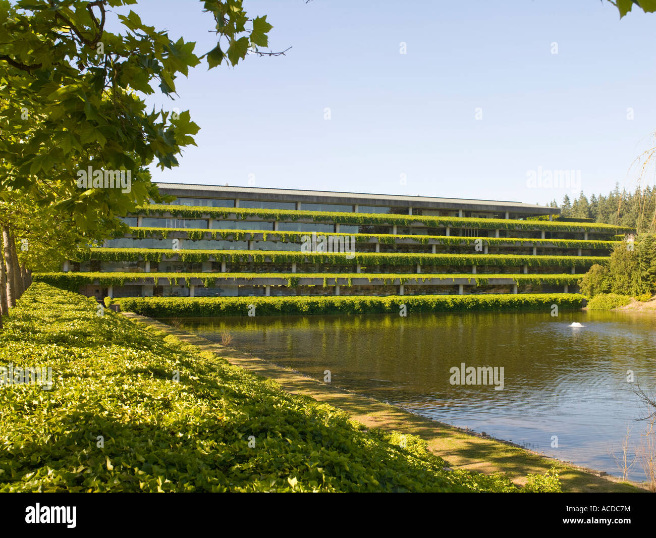 Weyerhaeuser hires stock photography and images Alamy