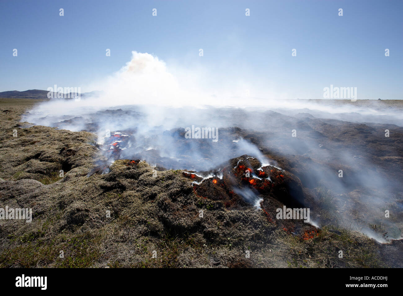 Withered grass burning in Mosfellsheidi Iceland Stock Photo