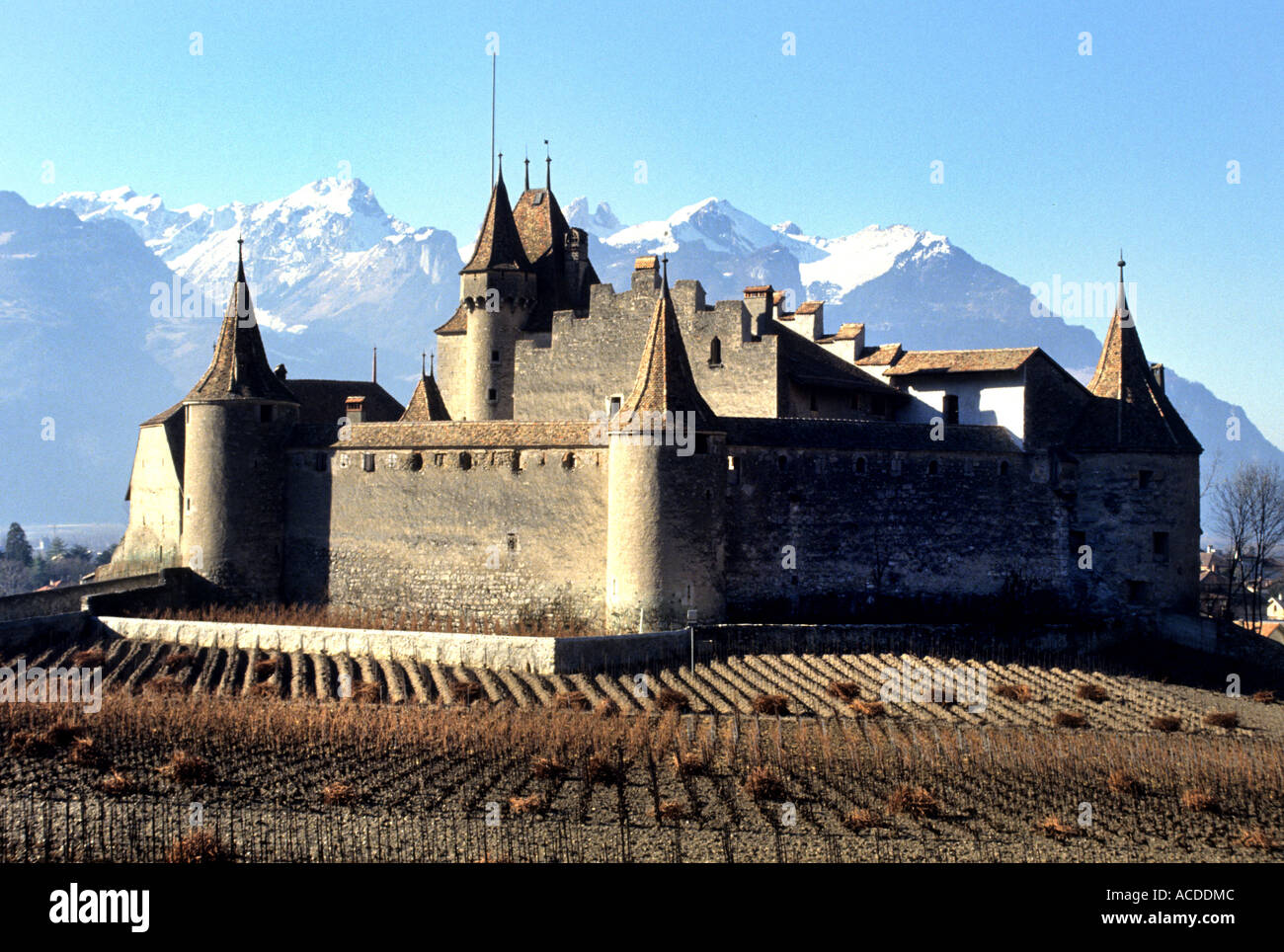 Switzerland Vineyard Vaud Aigle Chateau Canton Vaud Wine Mediaeval Historic french speaking language Stock Photo - Alamy