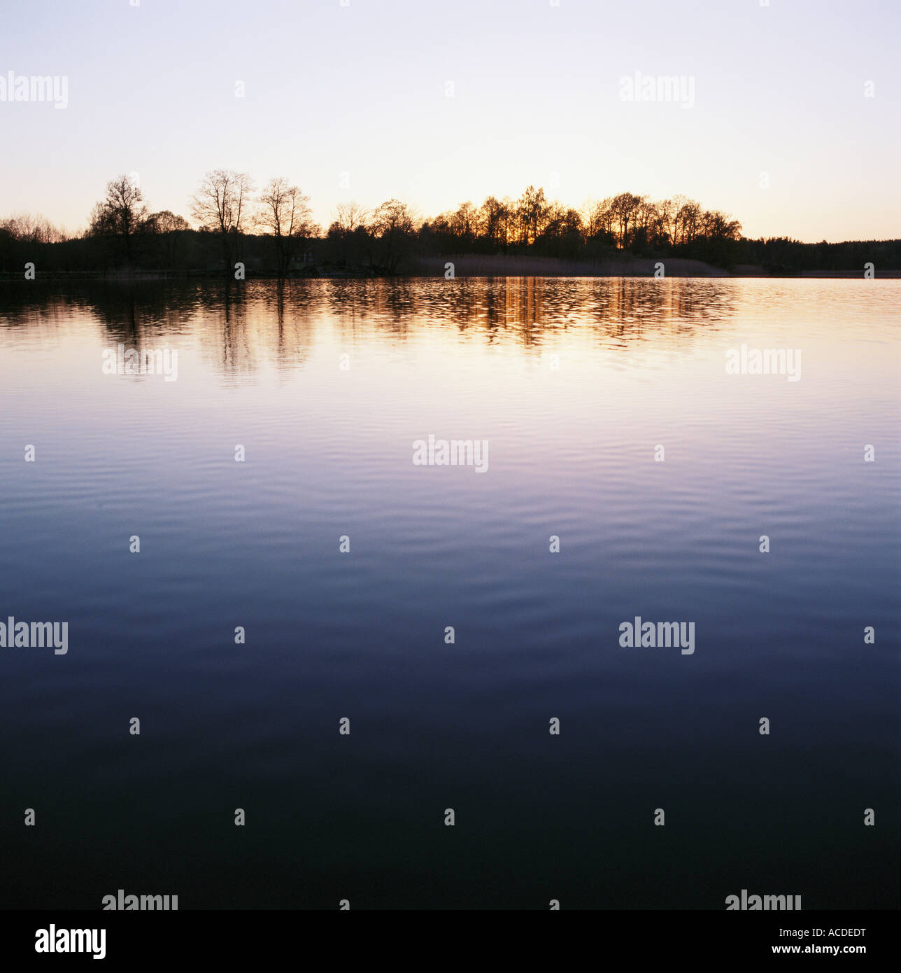 Trees reflecting in water Stock Photo - Alamy
