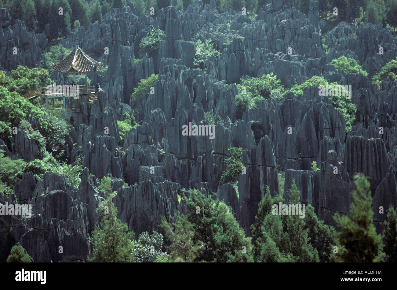 The Stone forest, Kunming, China Stock Photo
