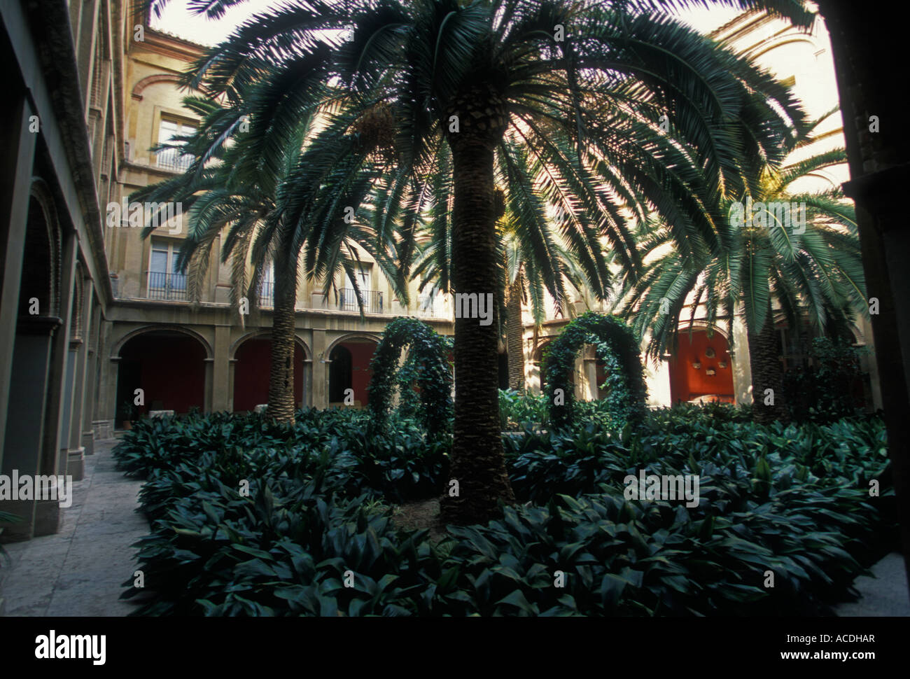 garden, gardens, inner courtyard, patio, Museum of Fine Arts, Museo de