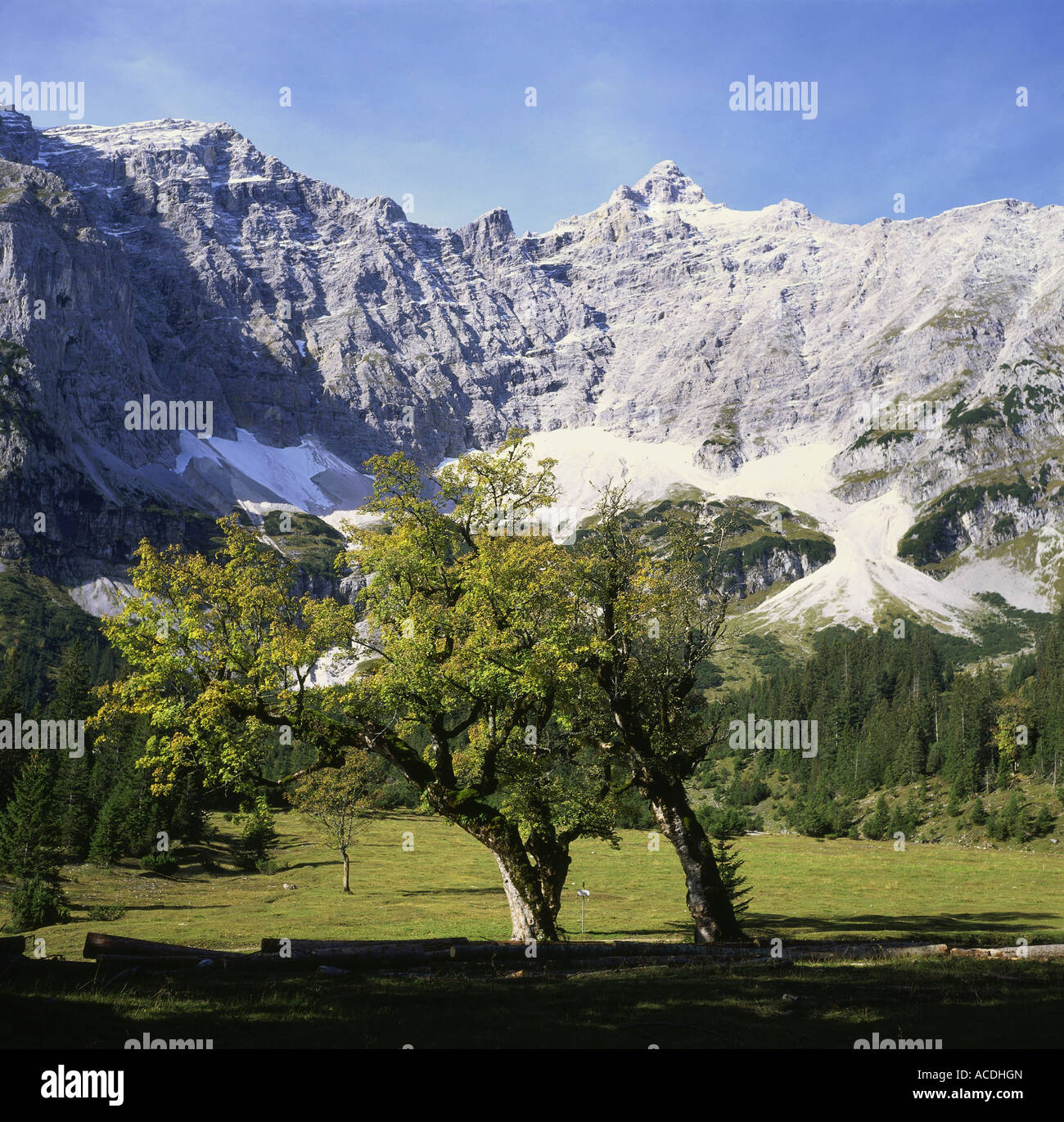 geography / travel, Austria, Tyrol, mountains, Karwendel range, landscape with Birkkarspitze, 2749m, Europe, mount, mountain, No Stock Photo