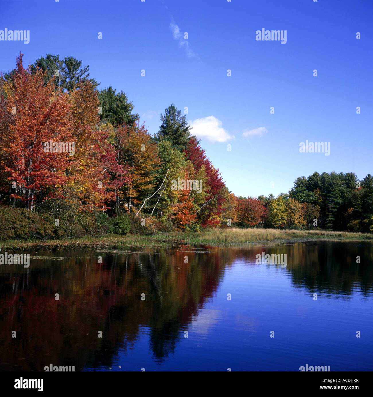 geography / travel, USA, Maine, Hollis Center, landscape in autumn