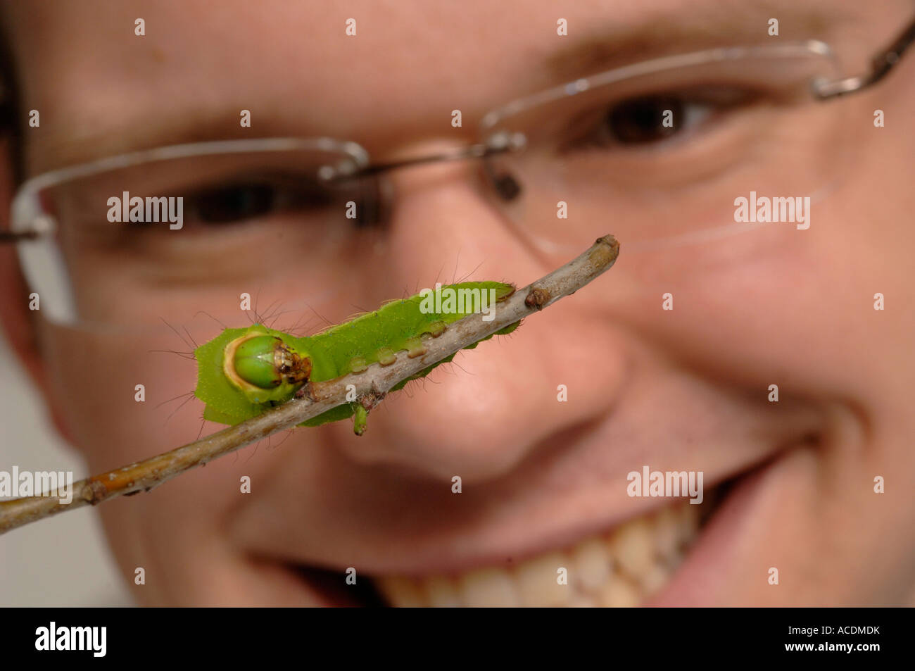 A student with a silk worm.Science is trying to understand how they make such strong thread Stock Photo