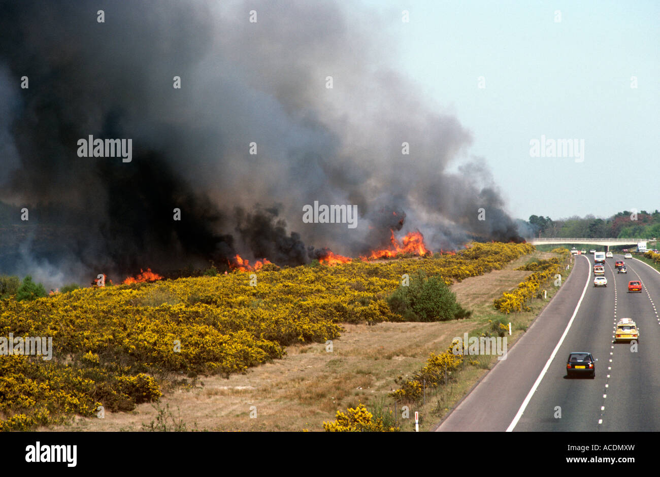 Heathland fire near M3 Motorway, Chobham Common, Surrey, UK Stock Photo