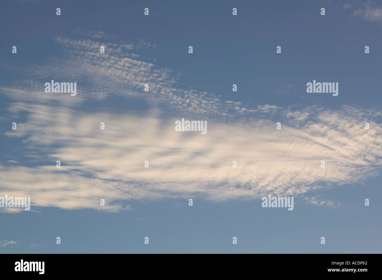 high level Alto Stratus clouds Stock Photo Alamy